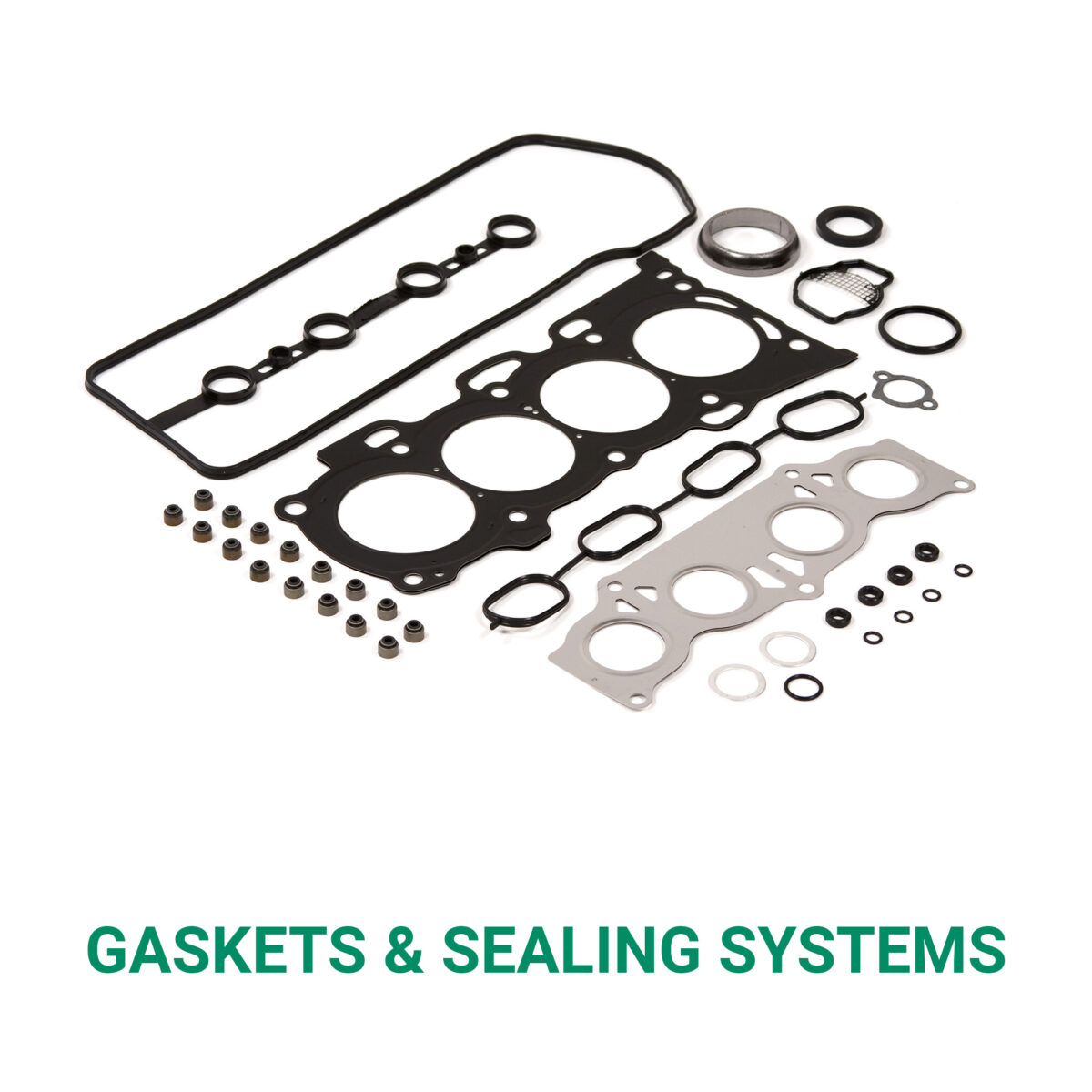 Gaskets & Sealing Systems